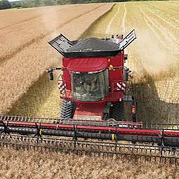 Case IH Bandschneidwerk