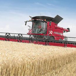 Case IH Getreideschneidwerk