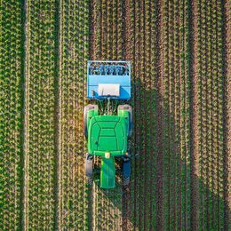 LEMKEN IC-Weeder